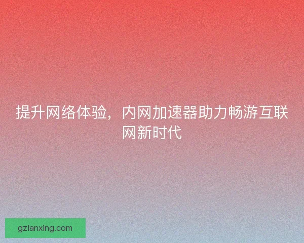 提升网络体验，内网加速器助力畅游互联网新时代
