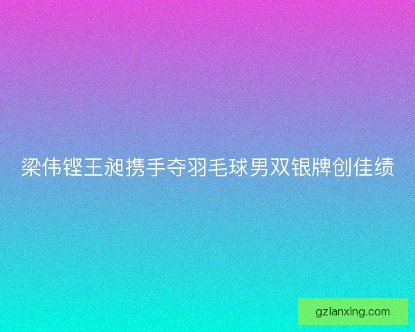 梁伟铿王昶携手夺羽毛球男双银牌创佳绩