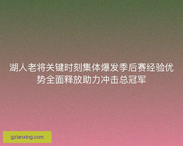 湖人老将关键时刻集体爆发季后赛经验优势全面释放助力冲击总冠军